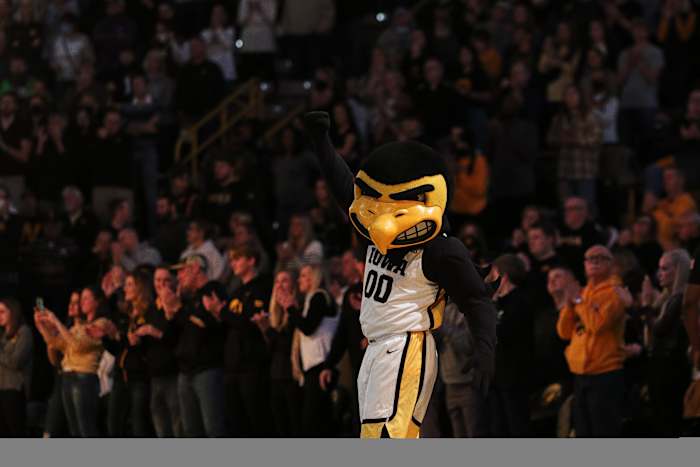 Basketball Herky